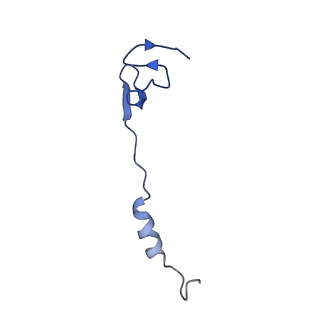 26634_7unv_4_v1-0
Pseudomonas aeruginosa 70S ribosome initiation complex bound to IF2-GDPCP (structure II-A)