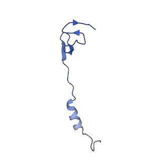 26634_7unv_4_v1-1
Pseudomonas aeruginosa 70S ribosome initiation complex bound to IF2-GDPCP (structure II-A)