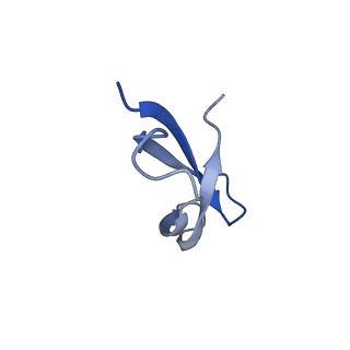 26634_7unv_5_v1-1
Pseudomonas aeruginosa 70S ribosome initiation complex bound to IF2-GDPCP (structure II-A)