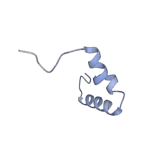 26634_7unv_6_v1-0
Pseudomonas aeruginosa 70S ribosome initiation complex bound to IF2-GDPCP (structure II-A)
