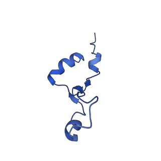 26634_7unv_7_v1-0
Pseudomonas aeruginosa 70S ribosome initiation complex bound to IF2-GDPCP (structure II-A)
