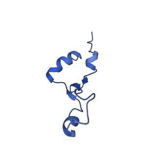 26634_7unv_7_v1-1
Pseudomonas aeruginosa 70S ribosome initiation complex bound to IF2-GDPCP (structure II-A)