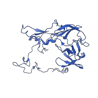 26634_7unv_C_v1-0
Pseudomonas aeruginosa 70S ribosome initiation complex bound to IF2-GDPCP (structure II-A)