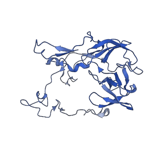 26634_7unv_C_v1-1
Pseudomonas aeruginosa 70S ribosome initiation complex bound to IF2-GDPCP (structure II-A)