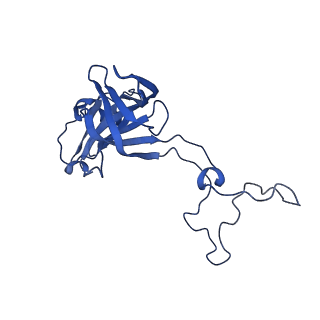 26634_7unv_D_v1-0
Pseudomonas aeruginosa 70S ribosome initiation complex bound to IF2-GDPCP (structure II-A)