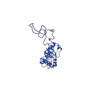26634_7unv_E_v1-0
Pseudomonas aeruginosa 70S ribosome initiation complex bound to IF2-GDPCP (structure II-A)