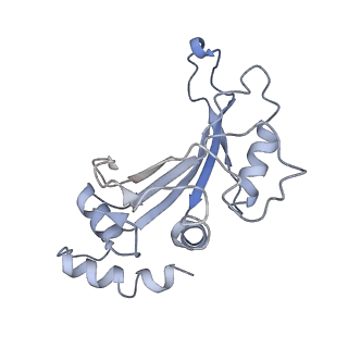 26634_7unv_F_v1-0
Pseudomonas aeruginosa 70S ribosome initiation complex bound to IF2-GDPCP (structure II-A)