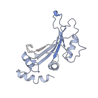 26634_7unv_F_v1-1
Pseudomonas aeruginosa 70S ribosome initiation complex bound to IF2-GDPCP (structure II-A)