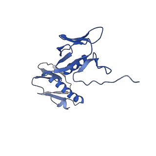 26634_7unv_G_v1-1
Pseudomonas aeruginosa 70S ribosome initiation complex bound to IF2-GDPCP (structure II-A)