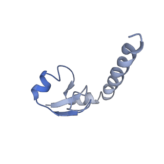 26634_7unv_H_v1-1
Pseudomonas aeruginosa 70S ribosome initiation complex bound to IF2-GDPCP (structure II-A)