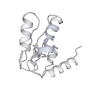 26634_7unv_I_v1-0
Pseudomonas aeruginosa 70S ribosome initiation complex bound to IF2-GDPCP (structure II-A)