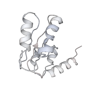 26634_7unv_I_v1-1
Pseudomonas aeruginosa 70S ribosome initiation complex bound to IF2-GDPCP (structure II-A)