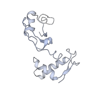26634_7unv_J_v1-0
Pseudomonas aeruginosa 70S ribosome initiation complex bound to IF2-GDPCP (structure II-A)