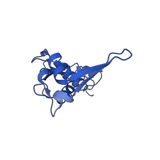 26634_7unv_L_v1-0
Pseudomonas aeruginosa 70S ribosome initiation complex bound to IF2-GDPCP (structure II-A)