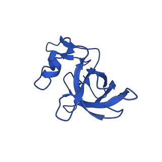 26634_7unv_M_v1-0
Pseudomonas aeruginosa 70S ribosome initiation complex bound to IF2-GDPCP (structure II-A)