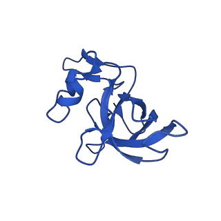 26634_7unv_M_v1-1
Pseudomonas aeruginosa 70S ribosome initiation complex bound to IF2-GDPCP (structure II-A)