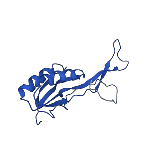 26634_7unv_O_v1-0
Pseudomonas aeruginosa 70S ribosome initiation complex bound to IF2-GDPCP (structure II-A)