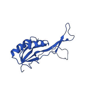 26634_7unv_O_v1-1
Pseudomonas aeruginosa 70S ribosome initiation complex bound to IF2-GDPCP (structure II-A)