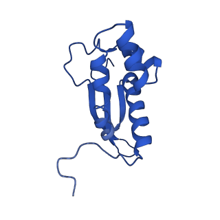 26634_7unv_P_v1-0
Pseudomonas aeruginosa 70S ribosome initiation complex bound to IF2-GDPCP (structure II-A)