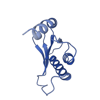 26634_7unv_Q_v1-0
Pseudomonas aeruginosa 70S ribosome initiation complex bound to IF2-GDPCP (structure II-A)