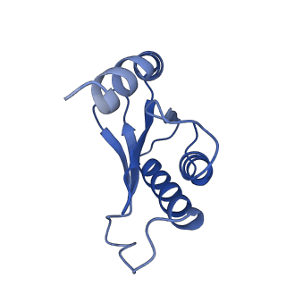 26634_7unv_Q_v1-1
Pseudomonas aeruginosa 70S ribosome initiation complex bound to IF2-GDPCP (structure II-A)