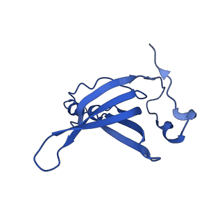 26634_7unv_R_v1-0
Pseudomonas aeruginosa 70S ribosome initiation complex bound to IF2-GDPCP (structure II-A)
