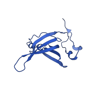 26634_7unv_R_v1-1
Pseudomonas aeruginosa 70S ribosome initiation complex bound to IF2-GDPCP (structure II-A)