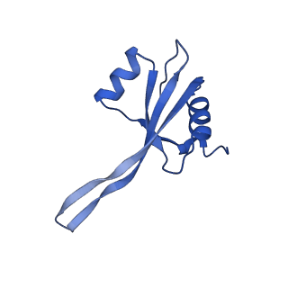 26634_7unv_V_v1-0
Pseudomonas aeruginosa 70S ribosome initiation complex bound to IF2-GDPCP (structure II-A)