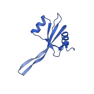 26634_7unv_V_v1-1
Pseudomonas aeruginosa 70S ribosome initiation complex bound to IF2-GDPCP (structure II-A)