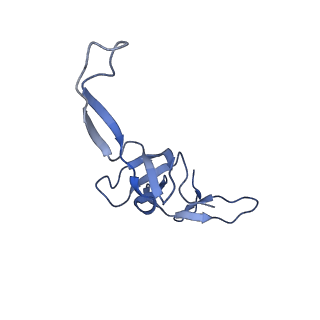 26634_7unv_W_v1-0
Pseudomonas aeruginosa 70S ribosome initiation complex bound to IF2-GDPCP (structure II-A)