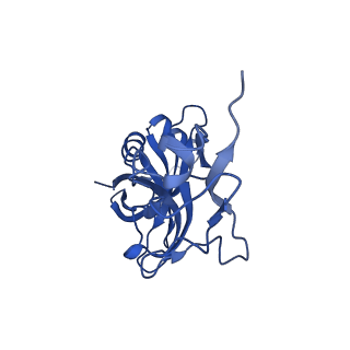 26634_7unv_X_v1-0
Pseudomonas aeruginosa 70S ribosome initiation complex bound to IF2-GDPCP (structure II-A)