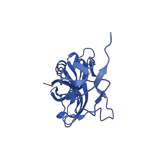 26634_7unv_X_v1-1
Pseudomonas aeruginosa 70S ribosome initiation complex bound to IF2-GDPCP (structure II-A)