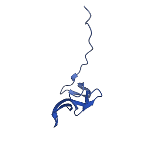 26634_7unv_Y_v1-1
Pseudomonas aeruginosa 70S ribosome initiation complex bound to IF2-GDPCP (structure II-A)