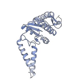 26634_7unv_b_v1-0
Pseudomonas aeruginosa 70S ribosome initiation complex bound to IF2-GDPCP (structure II-A)