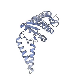 26634_7unv_b_v1-1
Pseudomonas aeruginosa 70S ribosome initiation complex bound to IF2-GDPCP (structure II-A)