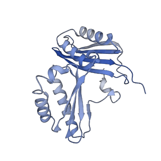 26634_7unv_c_v1-0
Pseudomonas aeruginosa 70S ribosome initiation complex bound to IF2-GDPCP (structure II-A)