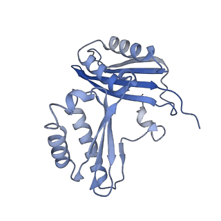 26634_7unv_c_v1-1
Pseudomonas aeruginosa 70S ribosome initiation complex bound to IF2-GDPCP (structure II-A)