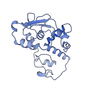 26634_7unv_d_v1-0
Pseudomonas aeruginosa 70S ribosome initiation complex bound to IF2-GDPCP (structure II-A)