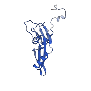 26634_7unv_e_v1-0
Pseudomonas aeruginosa 70S ribosome initiation complex bound to IF2-GDPCP (structure II-A)