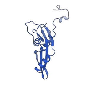 26634_7unv_e_v1-1
Pseudomonas aeruginosa 70S ribosome initiation complex bound to IF2-GDPCP (structure II-A)