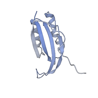 26634_7unv_f_v1-0
Pseudomonas aeruginosa 70S ribosome initiation complex bound to IF2-GDPCP (structure II-A)
