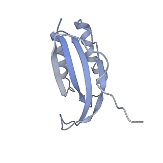 26634_7unv_f_v1-1
Pseudomonas aeruginosa 70S ribosome initiation complex bound to IF2-GDPCP (structure II-A)