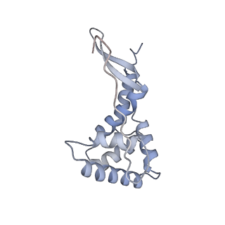 26634_7unv_g_v1-0
Pseudomonas aeruginosa 70S ribosome initiation complex bound to IF2-GDPCP (structure II-A)