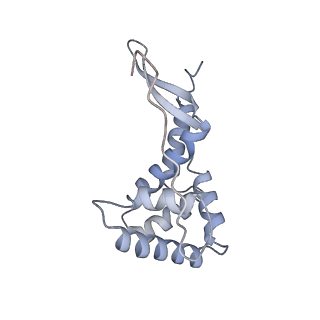 26634_7unv_g_v1-1
Pseudomonas aeruginosa 70S ribosome initiation complex bound to IF2-GDPCP (structure II-A)