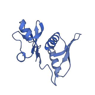 26634_7unv_h_v1-1
Pseudomonas aeruginosa 70S ribosome initiation complex bound to IF2-GDPCP (structure II-A)