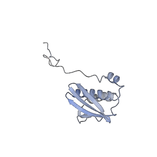 26634_7unv_i_v1-0
Pseudomonas aeruginosa 70S ribosome initiation complex bound to IF2-GDPCP (structure II-A)