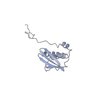 26634_7unv_i_v1-1
Pseudomonas aeruginosa 70S ribosome initiation complex bound to IF2-GDPCP (structure II-A)