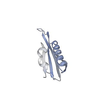 26634_7unv_j_v1-0
Pseudomonas aeruginosa 70S ribosome initiation complex bound to IF2-GDPCP (structure II-A)