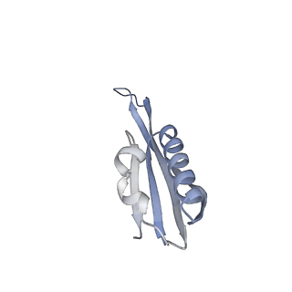 26634_7unv_j_v1-1
Pseudomonas aeruginosa 70S ribosome initiation complex bound to IF2-GDPCP (structure II-A)