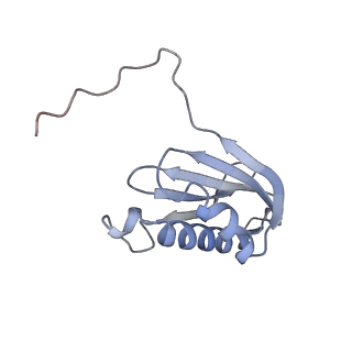 26634_7unv_k_v1-0
Pseudomonas aeruginosa 70S ribosome initiation complex bound to IF2-GDPCP (structure II-A)